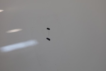 фото thumb №8, Дверь правые правый перед передние зад bmw ix i20 a300