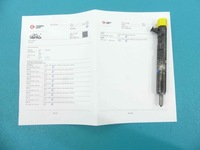 фото thumb №1, Test форсунка renault kangoo ejbr02101z 1.5 dci