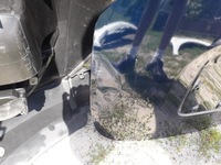 фото thumb №3, Кришка багажника задня задня dacia lodgy lift