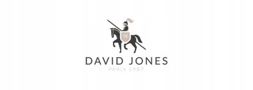 David Jones duży plecak sportowy na laptopa lekki