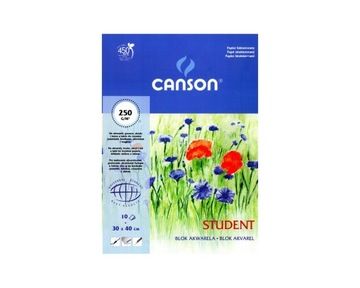 Блокнот для рисования А3, 250 г, акварельные краски Student Canson.