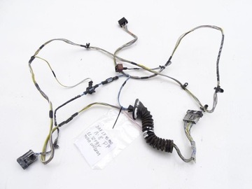 фото thumb №1, Daf lf 45 55 06-13 e4/5 джгут двері права