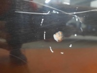 фото thumb №4, Fiat grande punto iii 3d дверь перед левая передние 891/b