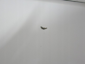 фото thumb №9, Mercedes w205 купе cabrio дверь правые передние w205 купе cabrio