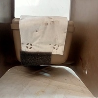 фото thumb №8, Town country v 10-20 консоль средняя 1ql59hl5ab