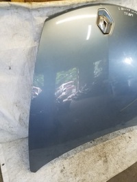 фото thumb №6, Капот renault laguna iii coupe kod terny