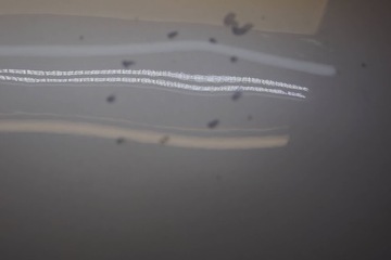 фото thumb №12, Renault megane iii рестайлинг капот крышка двигателя m763