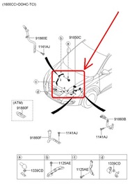фото thumb №10, Джгут шланг aku. + kia cee'd 2006-2009 1.6 crdi