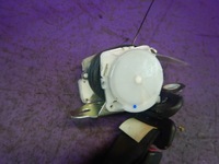 фото thumb №4, Citroen c1 pas безпеки задня правий кліпса