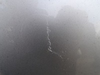 фото thumb №9, Капот крышка двигателя opel zafira b с wygłuszeniem цвет z157 1