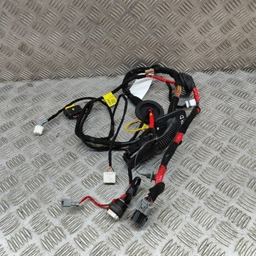 фото thumb №5, Kia ev6 2022 перед сторона права джгут провід двері передніх