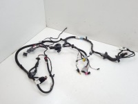 фото thumb №1, Tesla model s 2013 джгут трубопровід двері передніх 100442400m