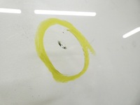 фото thumb №8, Bmw e91 e90 стекло лобовое передняя перед главная