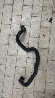 Купити Шланг патрубок радіатора renault kangoo iv 144b68153r, фото thumb