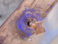 фото thumb №8, Peugeot 206 lift 02-09 бампер перед передний 9625078477 egjb