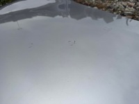 Капот крышка двигателя nissan x-trail xtrail t33 21- Недорого, фото thumb