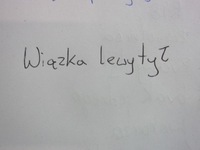 фото thumb №9, Bmw x1 f48 жгут электропроводка левый задняя лампы задний багажника 6821875