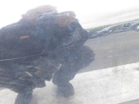 фото thumb №7, Volvo v70 2.4 d5 2002r двері лівий перед