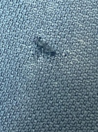 фото thumb №7, Спинка сиденье водителя левый перед citroen c4 picasso ii