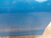 фото thumb №8, Двері передні перед ліва hyundai kona 2017-