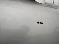 фото thumb №9, Дверь правое передние правый перед audi tt 8n coupe 1998-2006 ly7w