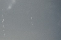 фото thumb №7, Ford kuga mk1 двері правий перед передні