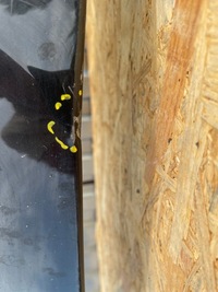 фото thumb №6, Крила лівий передній dacia dokker lodgy stepway 12-