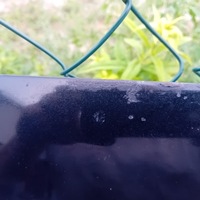 фото thumb №6, Audi a3 8p 07r капот ly9b великий решітка радіатора