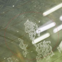 фото thumb №7, Audi a3 s3 8v 2016 задняя крышка багажника багажника