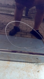 фото thumb №3, Двері зад задні праві volvo v50 04-12r