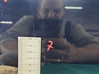 фото thumb №10, Кришка зад багажника боки peugeot 3008 i 09-16 hb kpsc