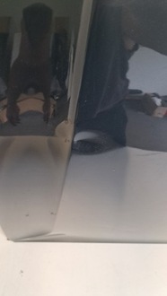 фото thumb №11, Капот volvo xc60 ii 2 17-