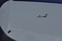 фото thumb №4, Volvo v60 кришка багажника кришка багажника задня задня