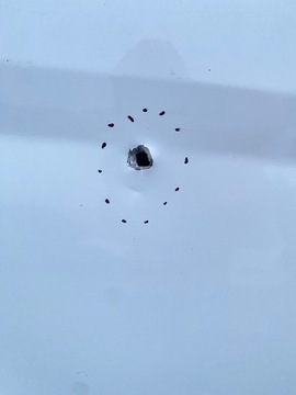 фото thumb №6, Ford transit tourneo connect mk2 двері праві зсувні задні довгий maxi