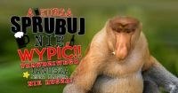 Кружка NOSACZ «Попробуй не выпить, черт возьми, ЯНУШ»