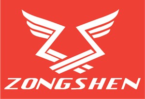 УПЛОТНИТЕЛЬ 30Х46Х8ММ ZONGSHEN 188F 190F XP380 100017647 ОРИГИНАЛ