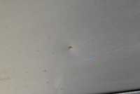 фото thumb №10, Дверь левая перед передние gky opel movano b 10-22