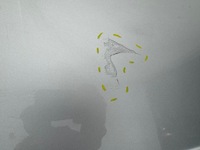 фото thumb №11, Ford transit custom i 1 12r- двері праве бічний зсувні правий