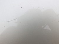 фото thumb №3, Дверь левый задняя renault scenic ii ted11