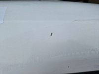 фото thumb №3, Fiat doblo ii 2 combo d дверь правый перед правое передние