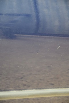 фото thumb №4, Дверь левый перед vw golf iv 3d