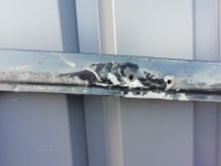 фото thumb №3, Праве двері daf xf 105