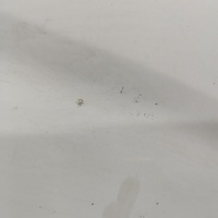 фото thumb №6, Opel combo d 2014 перед сторона правая крыло передний