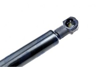 фото thumb №10, Привід амортизатор кришки fiat idea 2004- lancia musa 2004-12 nty