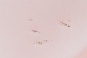 фото thumb №6, Крило лівий перед переднє білий tesla модель s рестайлінг 16-21