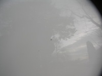 фото thumb №6, Vw passat b8 14 - капот перед передня білий kielce-gliwice