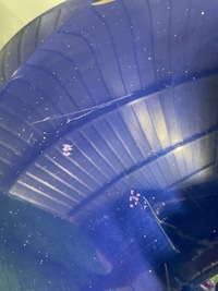 фото thumb №7, Капот кришка двигуна seat leon iii рестайлінг 5f0