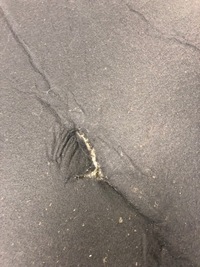 фото thumb №7, Шумоизоляция капот seat leon iii hb