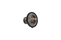 фото thumb №1, Термостат вкладиш kamoka