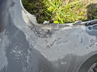 фото thumb №9, Бампер передній renault kangoo 2 ii lift лак 2013-21